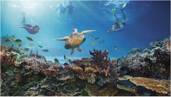 Pantai Wedi Ombo, Snorkling Pantai Nglambor